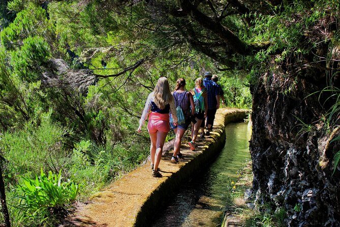 Private Small Group Full Day 4x4 Tour in Northwest Madeira - Final Thoughts