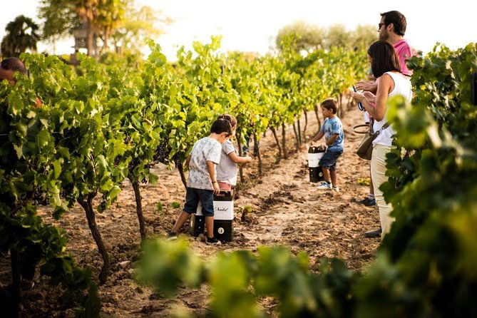 private-small-group-full-day-tour-montserrat-and-cava-visit-with-lunch-and-transportation