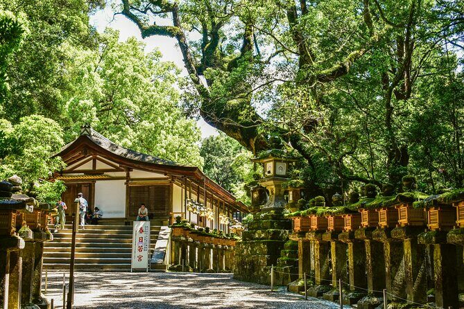 Private Small Tour in Hakone Kanagawa - What to Expect from the Hakone Private Small Tour