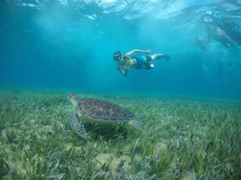 Private SNORKEL AND ISLA MUJERES Tour for GROUPS & FAMILIES - What’s Included & What’s Not?