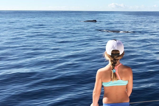 private-snorkel-trip-from-oahu-on-a-yacht