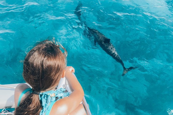 private-snorkel-trip-from-oahu-on-a-yacht