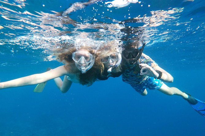 private-snorkel-with-2-stops-in-aruba-eco-friendly