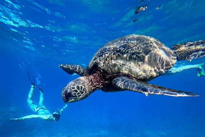 private-snorkel-with-beach-set-up