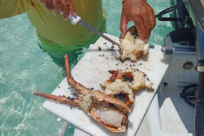 private-snorkeling-and-fishing-activity