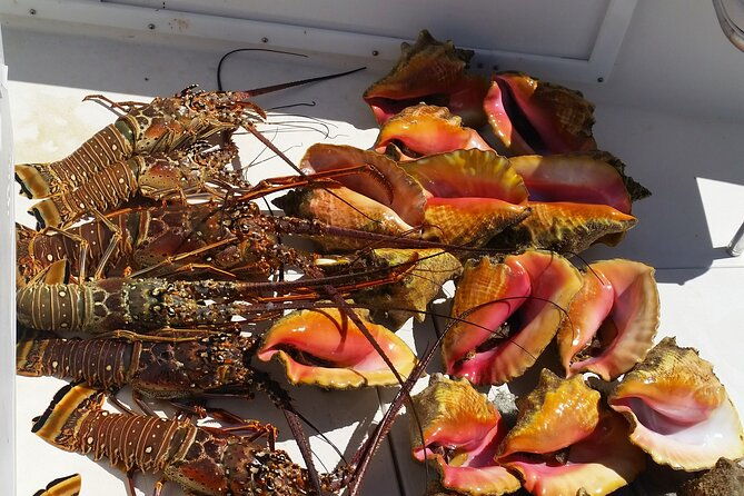 private-snorkeling-and-fishing-activity