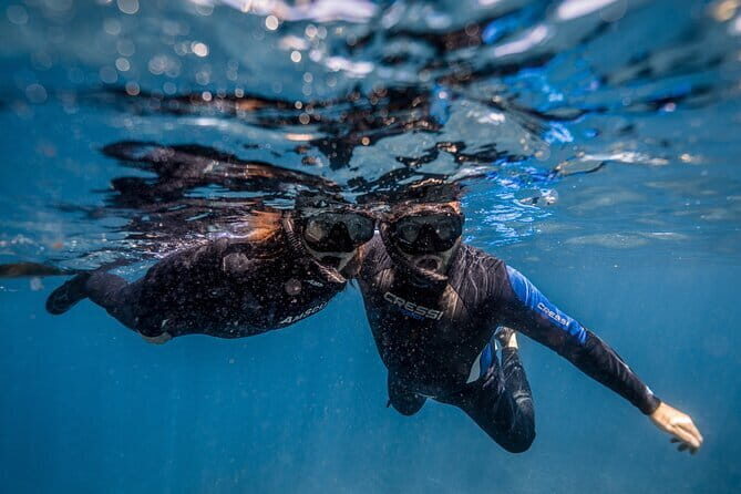 Private Snorkeling and Freediving Trip to Manta Point - Exploring the Experience: A Closer Look