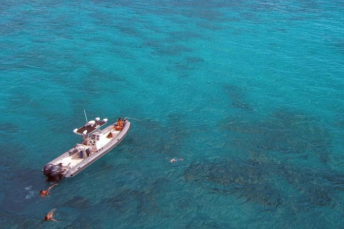 private-snorkeling-and-wildlife-on-the-adventure-boat