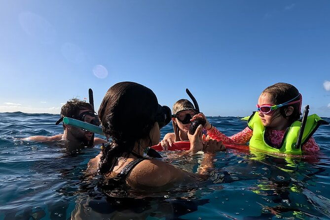 private-snorkeling-cruise-in-waikiki