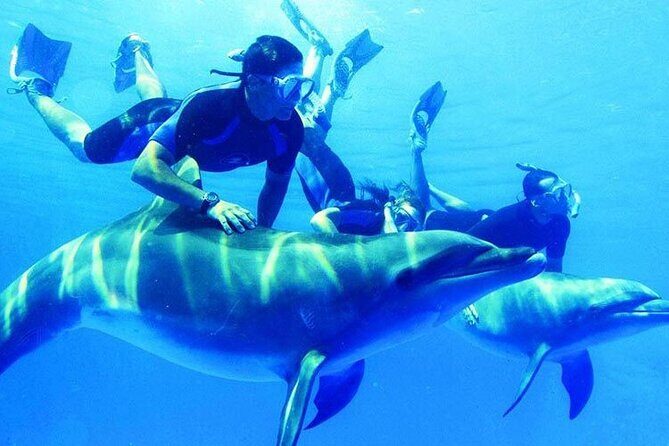 Private Snorkeling day Trip with Paradise Island or Orange Bay - Key Points
