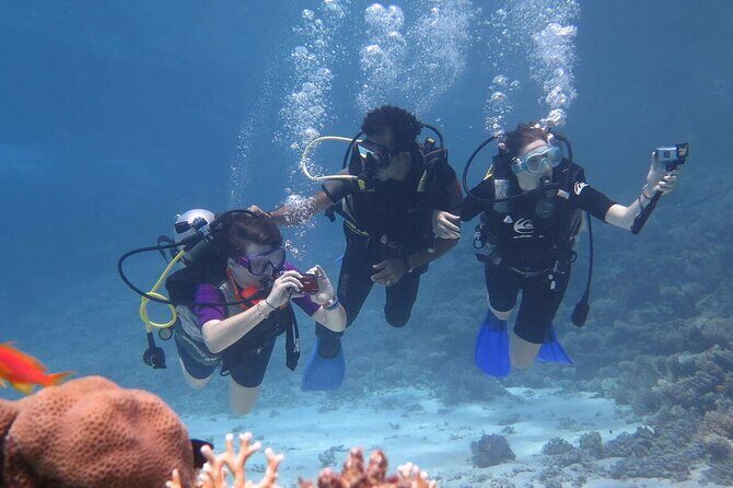 Private Snorkeling day Trip with Paradise Island or Orange Bay - What Makes This Tour Stand Out?