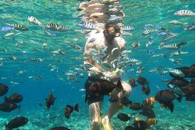 Private Snorkeling from Nusa Penida - The Boat and Safety: Comfort and Confidence