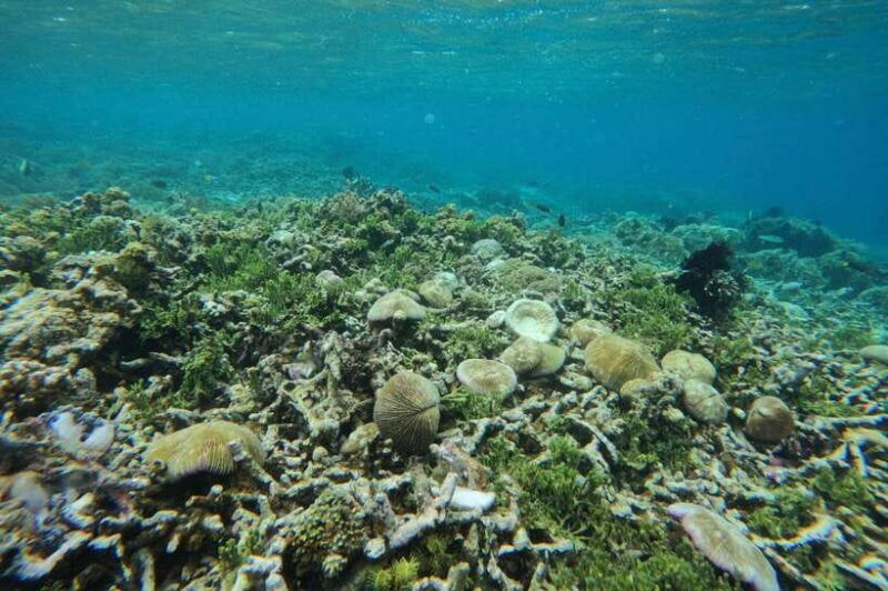 private-snorkeling-gili-gede-gili-asahan-gili-goleng-tour