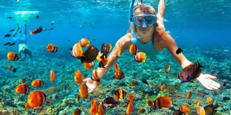 Private Snorkeling in Nusa Penida - Key Points
