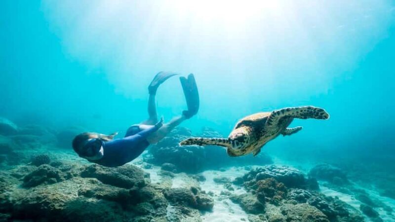 Private Snorkeling in Nusa Penida - FAQ