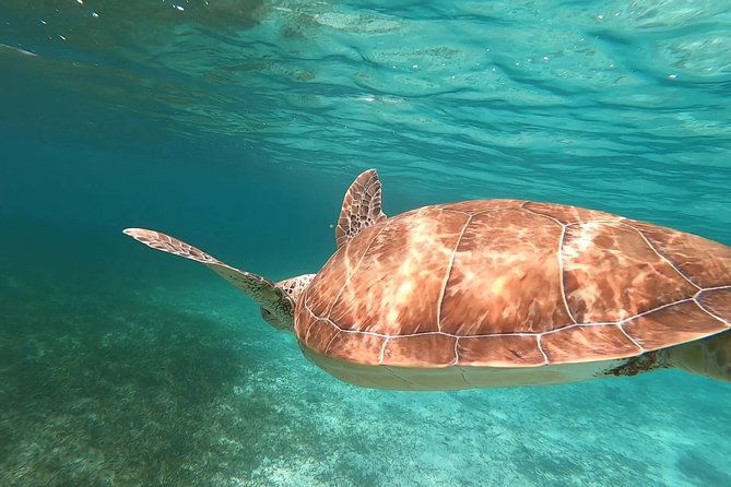 private-snorkeling-or-fishing-in-nassau-55ft-cocorijo