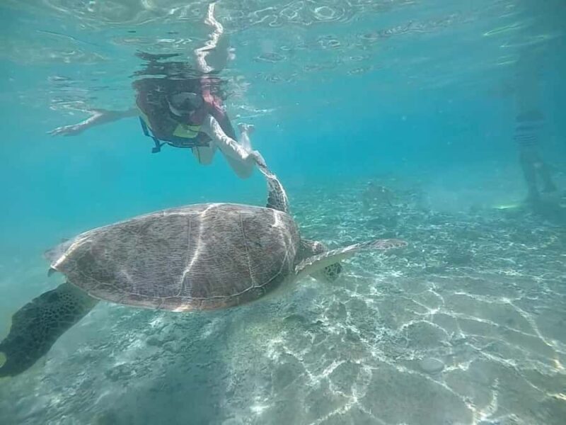 Private Snorkeling Tour GoPro Footage Costumize Tour - Key Points