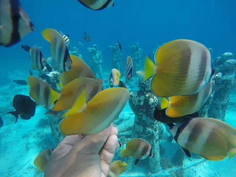 Private Snorkeling Tour GoPro Footage Costumize Tour - FAQs