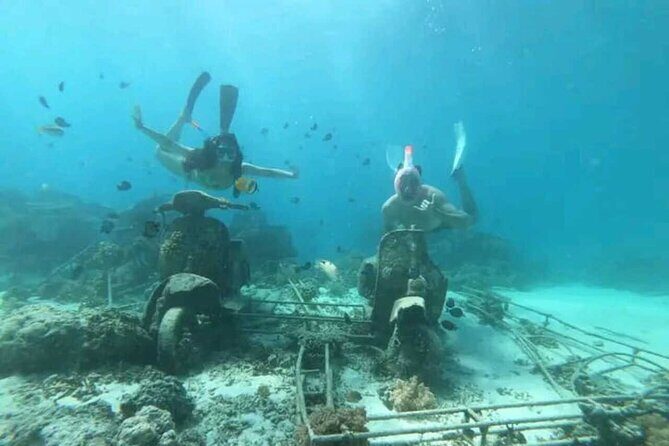 Private Snorkeling Tour of Gili Islands in Air Meno and Trawangan - What Makes This Tour Stand Out