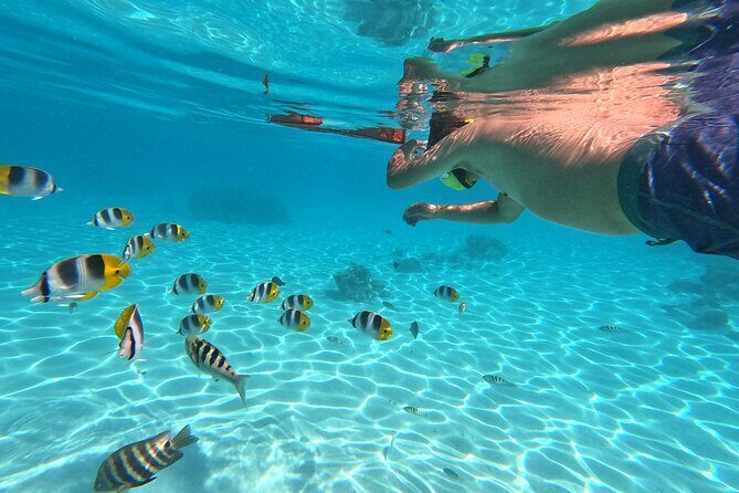 Private Snorkeling Trip on a Polynesian Outrigger - Who Will Love It?