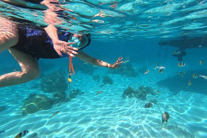 Private Snorkeling Trip on a Polynesian Outrigger - Final Thoughts