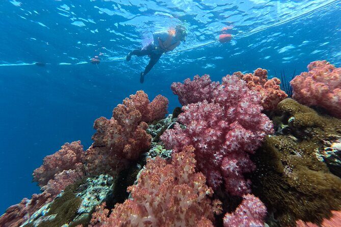 Private Snorkeling Trip Route A by Long Tail Boat - Exploring Ko Lipe with a Private Snorkeling Trip Route A by Long Tail Boat
