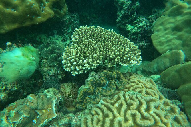 Private Snorkeling Trip Route A by Long Tail Boat - Why Choose This Tour?