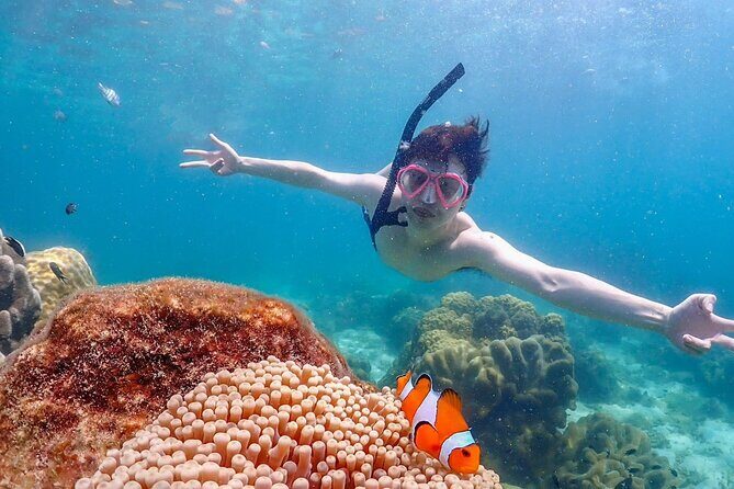 Private Snorkeling Trip to Samaesan Island from Pattaya - Key Points