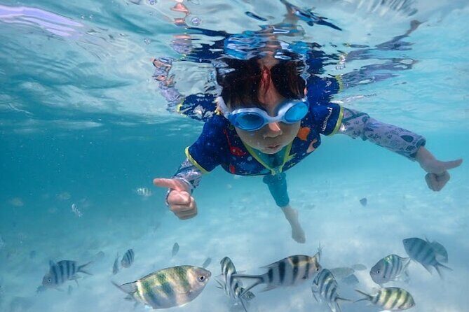 Private Snorkeling Trip to Samaesan Island from Pattaya - Who Should Consider This Tour?