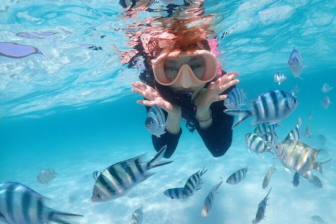 Private Snorkeling Trip to Samaesan Island from Pattaya - FAQs