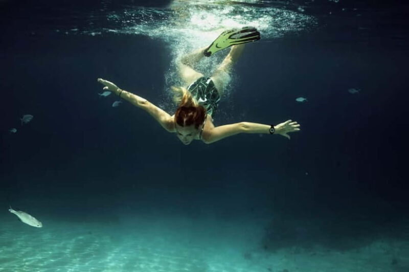 Private Snorkeling with Turtles in the Maldives - Key Points