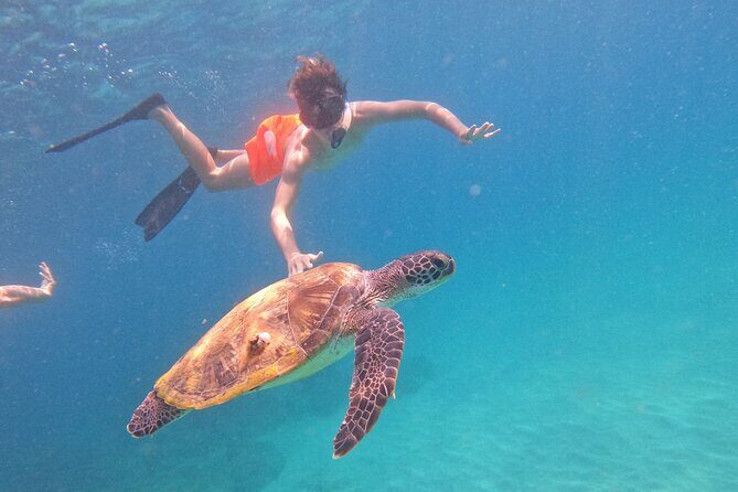 Private Snorkeling with turtles with BBQ food - FAQ