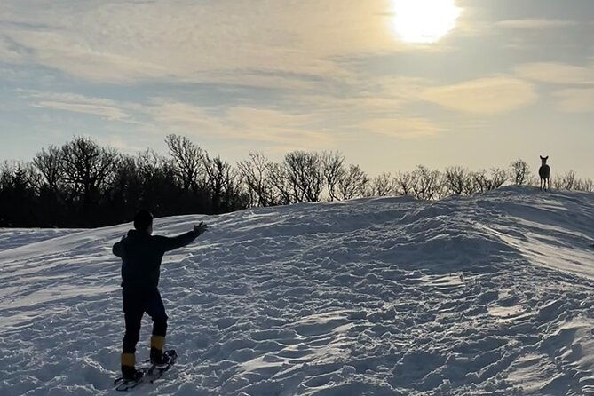 private-snow-shoe-tour-in-shiretoko-national-park