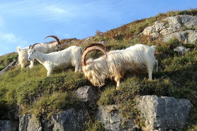 Private Snowdonias Mountains, Lakes & Mines Tour - Practical Details and Tips