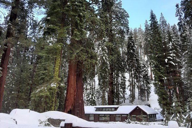 private-snowshoe-adventure-sequoia-national-park
