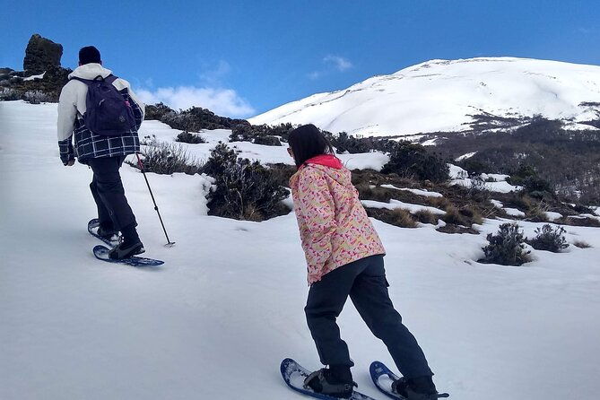 private-snowshoe-hiking-in-bariloche-in-winter