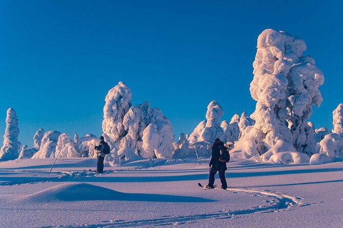 private-snowshoe-or-ski-adventure-in-lapland