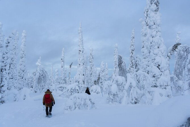 private-snowshoe-or-ski-adventure-in-lapland