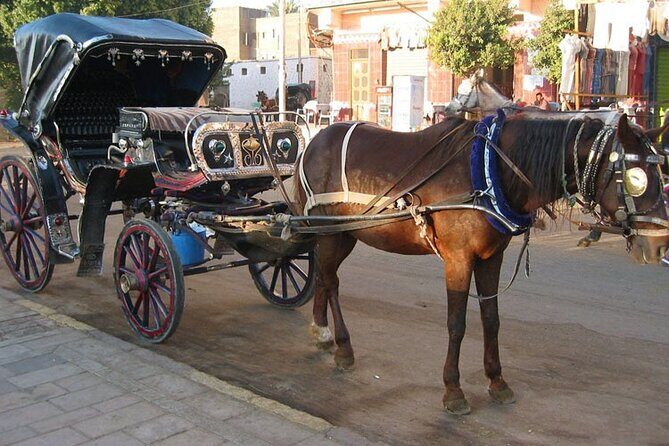 Private Sound and Light Show and Luxor City Tour by Carriage (3 * 1) - Practical Tips for Your Tour