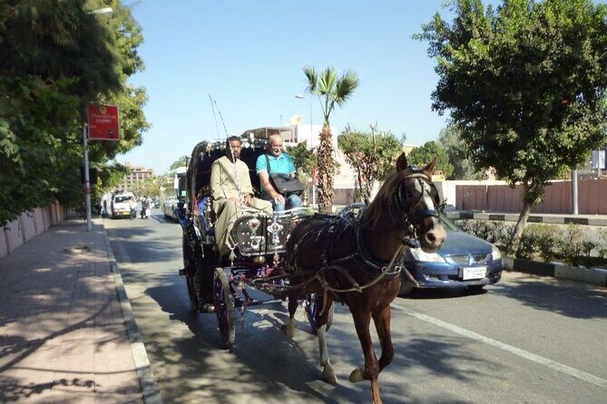 Private Sound and Light Show and Luxor City Tour by Carriage (3 * 1) - The Sum Up