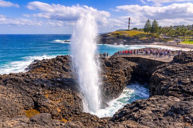 Private South Coast Tour to Sea Cliff Bridge and Kiama Blow hole - What’s Included and What’s Not