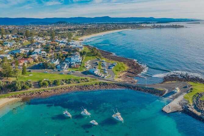 Private South Coast Tour to Sea Cliff Bridge and Kiama Blow hole - Value for Money