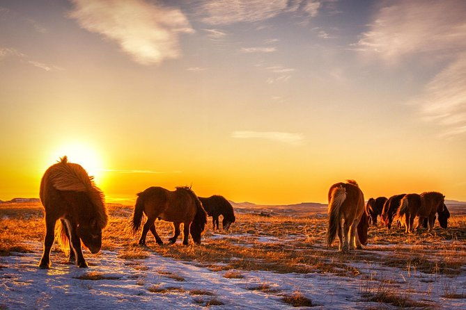 private-south-coast-tour-with-a-professional-photographer-guide