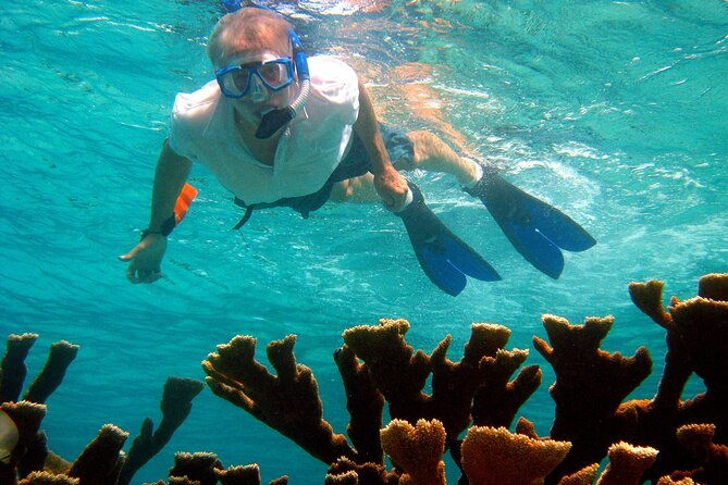 private-south-tour-and-snorkel-combo-max-group-of-12