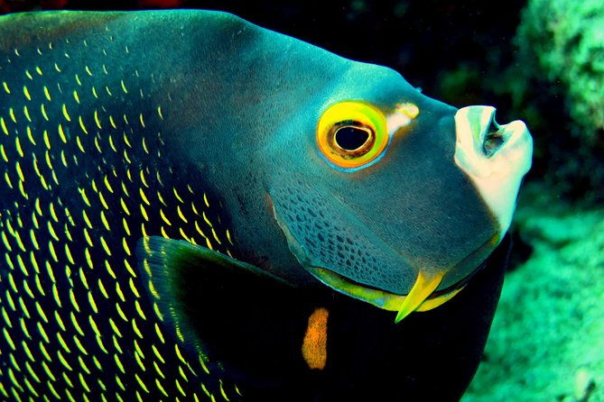 private-south-tour-and-snorkel-combo-max-group-of-12