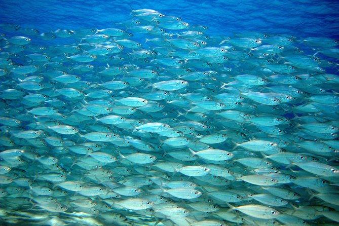 private-south-tour-and-snorkel-combo-max-group-of-12