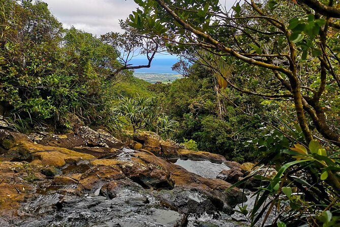 Private southwest of Mauritius: Barbecue Lunch at Îlot Fourneau - FAQ