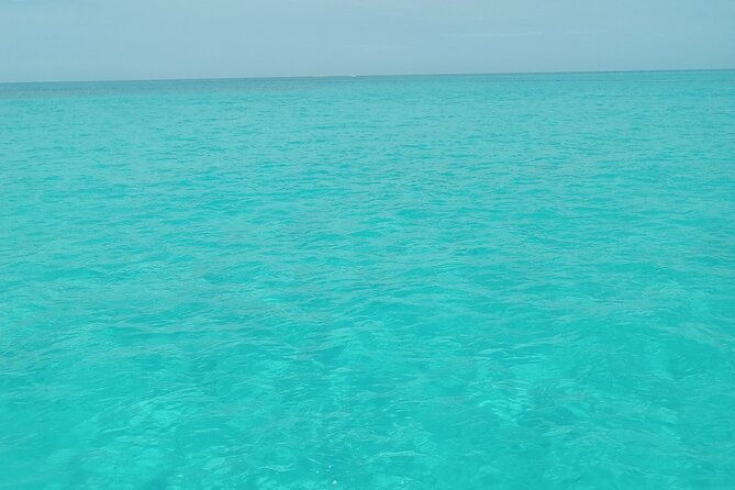 private-speed-boat-beach-and-bar-hopping-visiting-rose-island