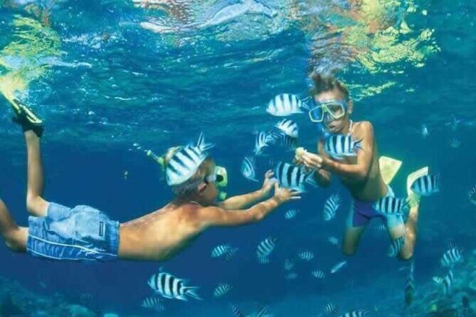 Private Speed Boat Snorkeling with Dolphins Trip - Hurghada - Final Words