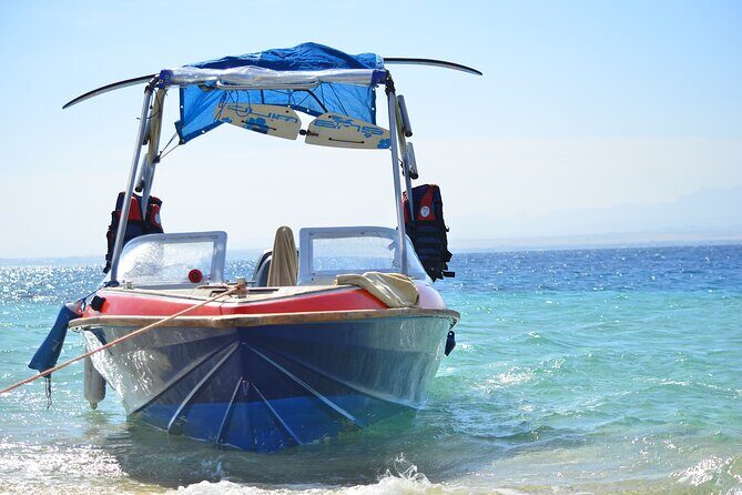 Private Speed Boat & Swim With Dolphins & Water Sports-hurghada - Key Points